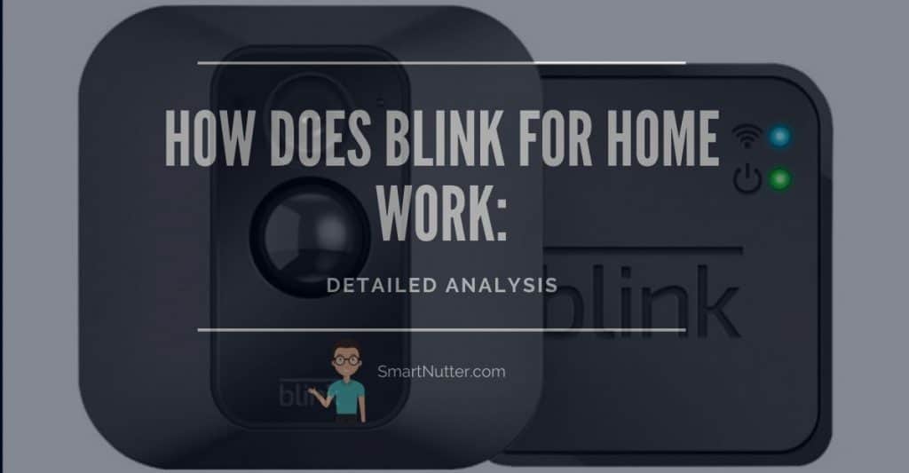 How Does Blink For Home Work Detailed Analysis SmartNutter