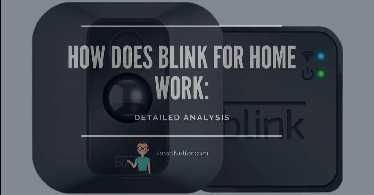 How Does Blink For Home Work Detailed Analysis